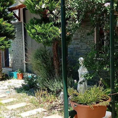 Babacim Havuzlu Saunali * בודרום